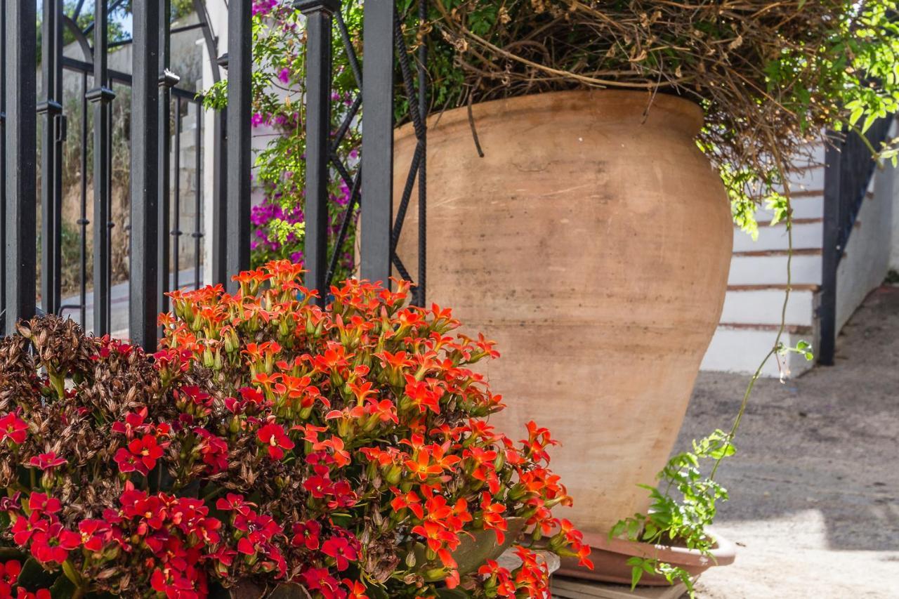Casa Luna - 16th Century Traditional Spanish